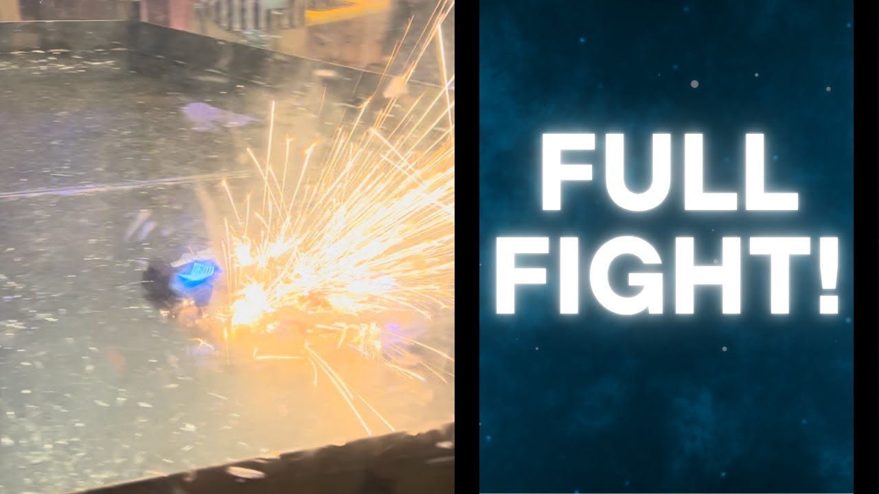 FULL FIGHT | Mega Catnip vs Misdirected Aggression