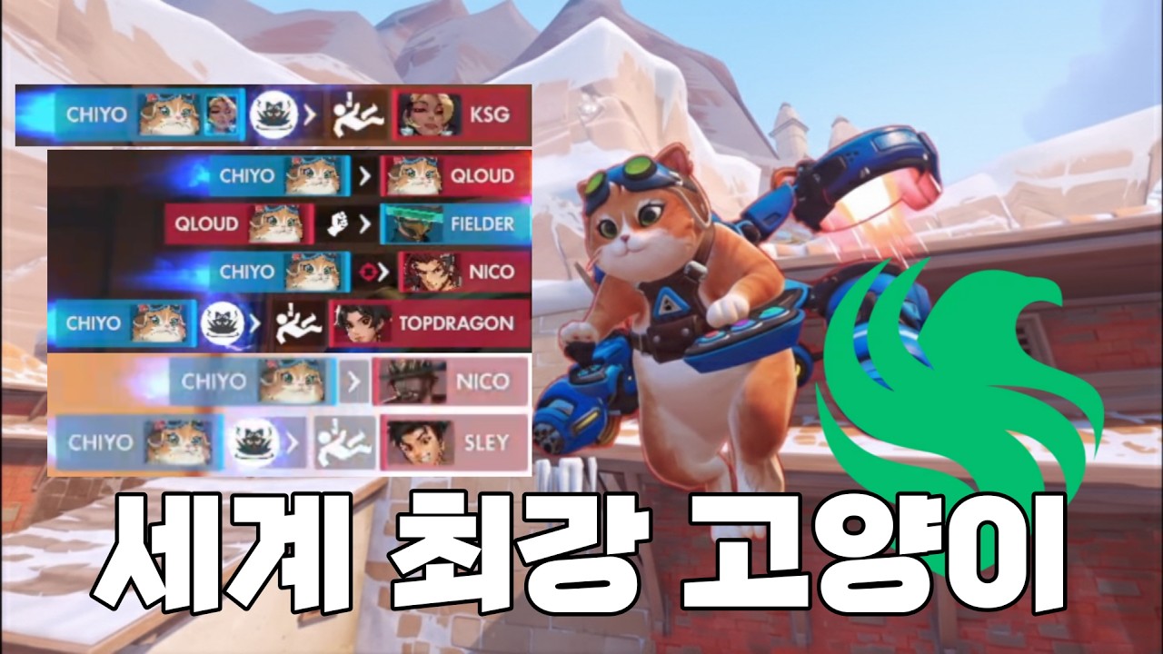 어쩌다 데려온 길냥이가 사실은 [OWCS 부트캠프 1일차]