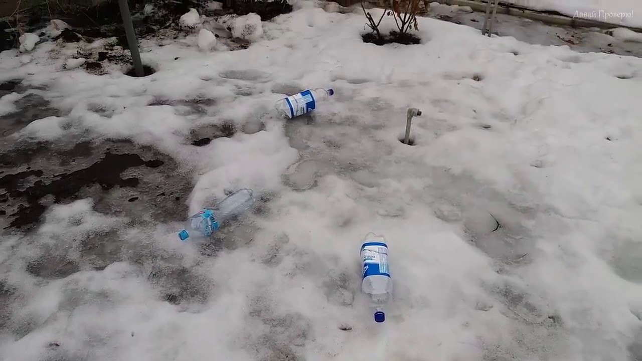 Сколько можно заработать на пластиковых бутылках?