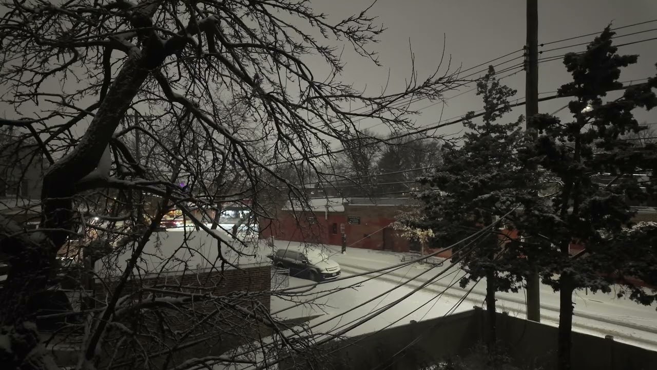 Quiet Snowfall at Night | NYC Window View