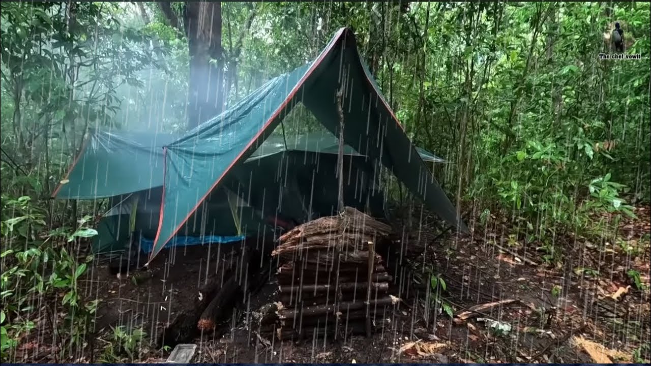 นอนป่าดิบ พายุถล่มหนัก โหดสุด บรรยากาศดีมาก