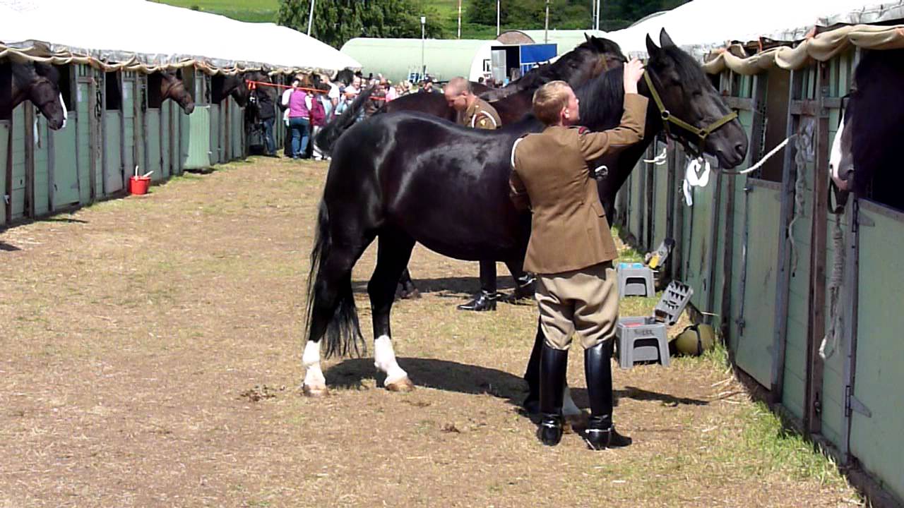 The Household Cavalry