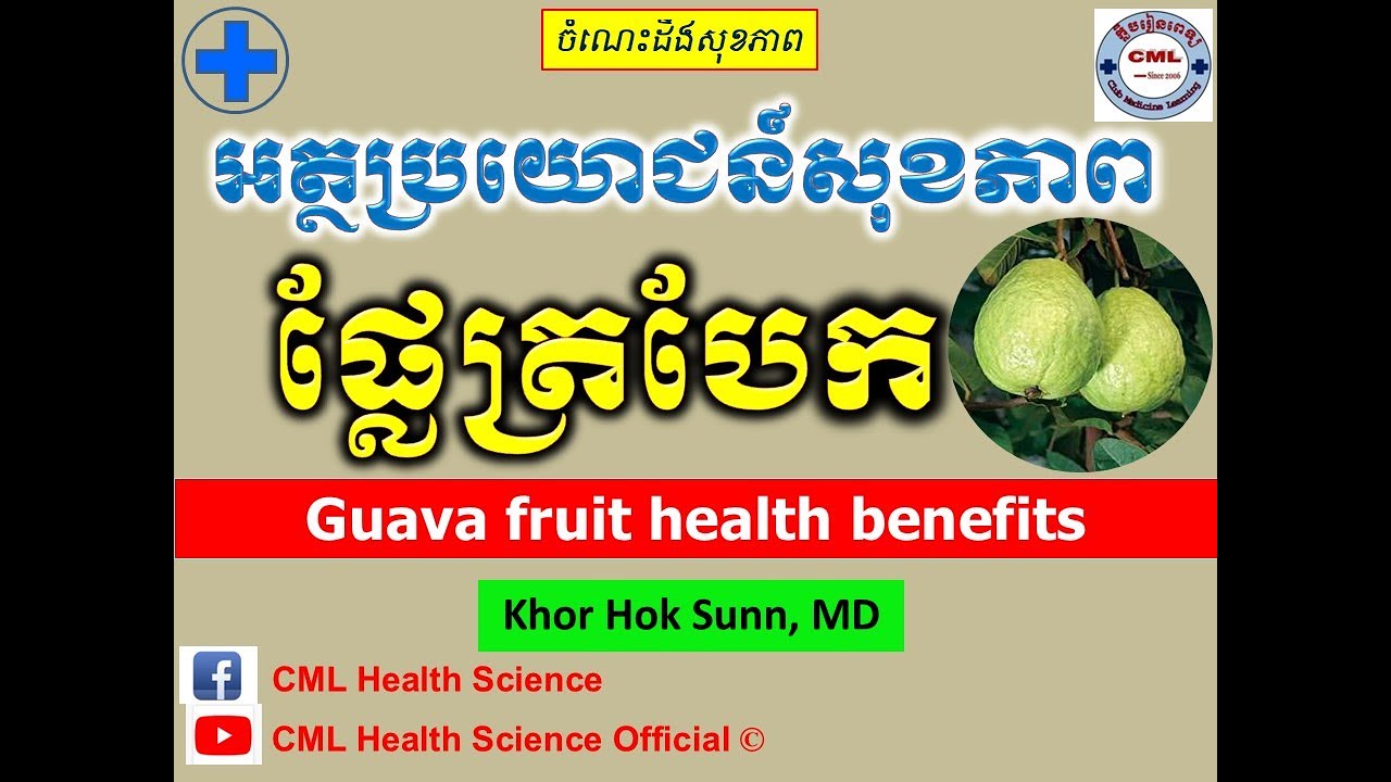 អត្ថប្រយោជន៍សុខភាពផ្លែត្របែក l Guava​ fruit health benefits lផ្លែឈើសុខភាពl@cmlhealthscienceofficial