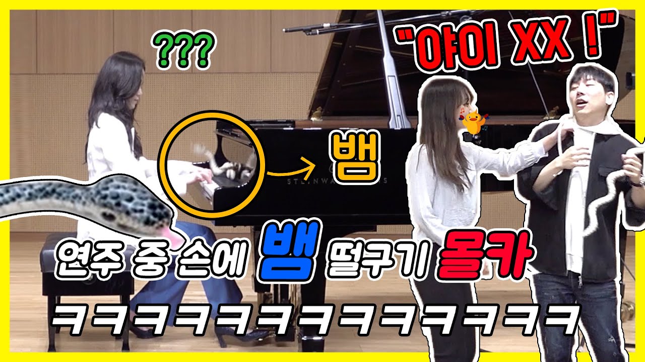 몰카)피아노 치고 있을 때 몰래 뱀 떨어뜨리기 몰캌ㅋㅋㅋㅋㅋㅋㅋ