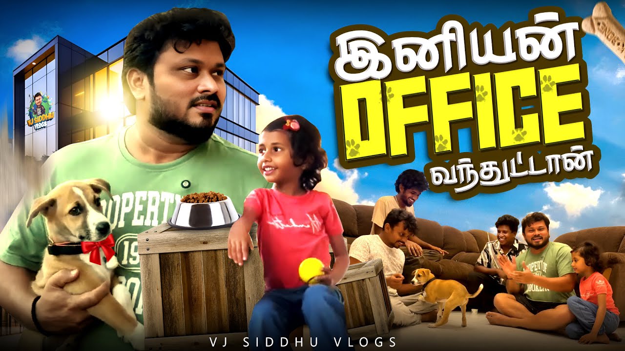 Street Dogs தான் கெத்து🐶🤩 | Vj Siddhu Vlogs