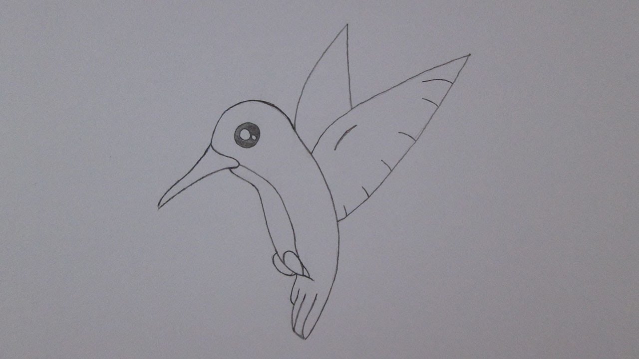 Como desenhar um beija-flor