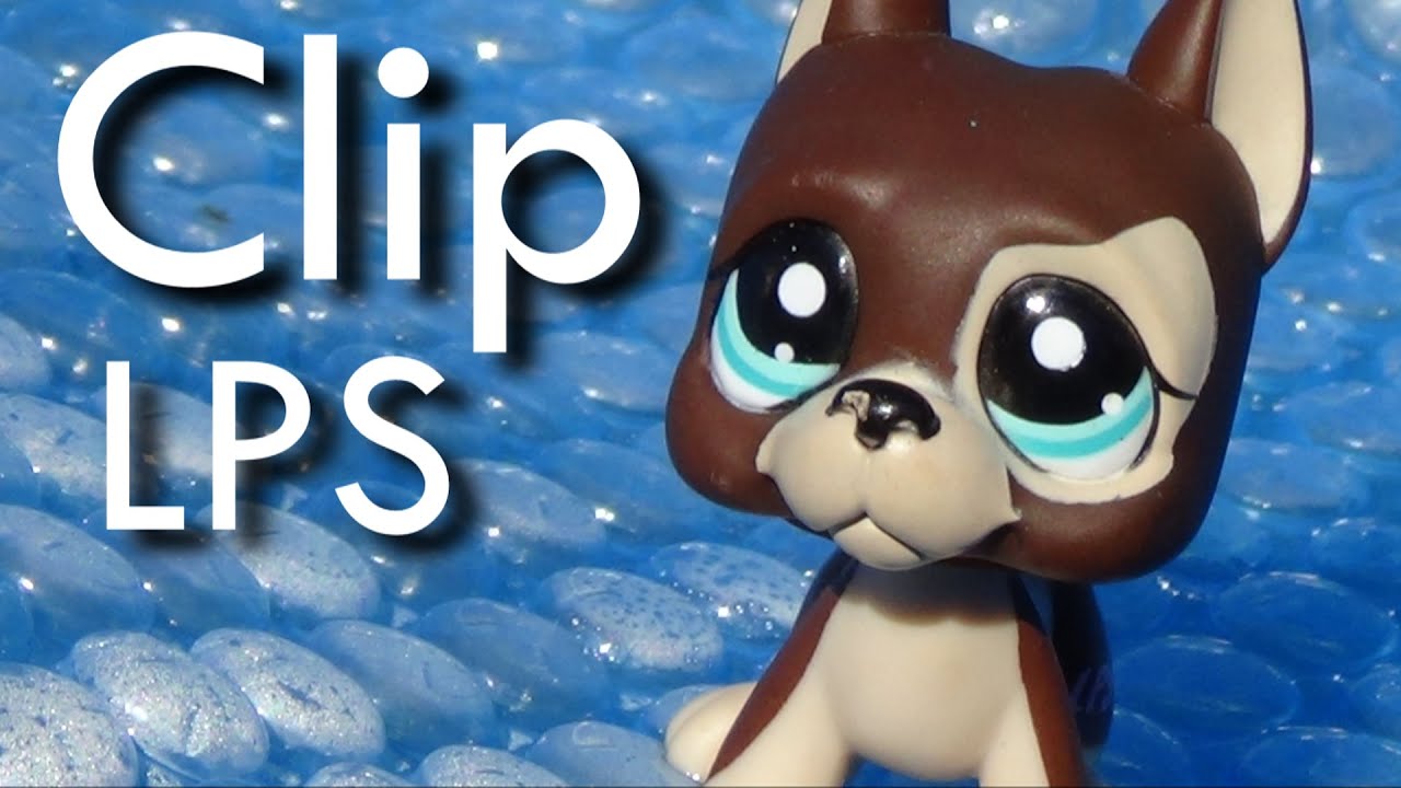 ~ Clip LPS ~