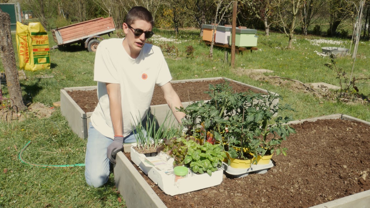 ORTO RIALZATO verso l'autoproduzione