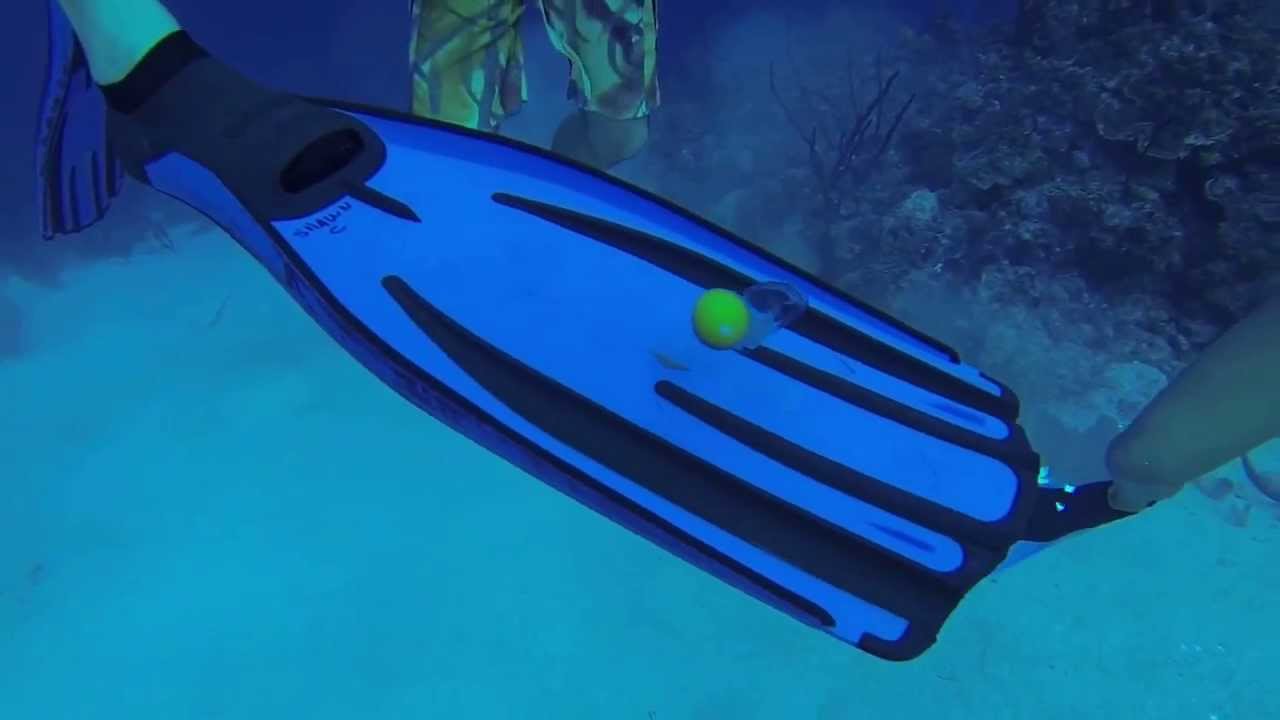 Deep Diving Egg