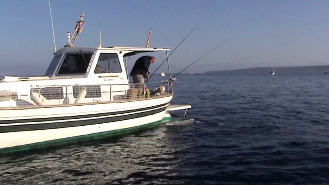 Pesca en la bahia de Palma  Club Nautic S,Arenal