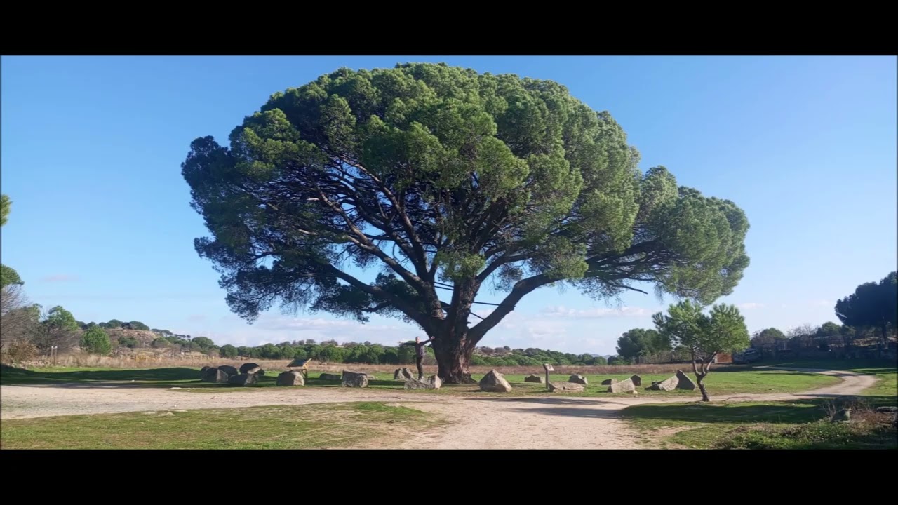 FOTOGRAFÍAS Y PAISAJES DE EL HOYO DE PINARES,ÁVILA(ESPAÑA)