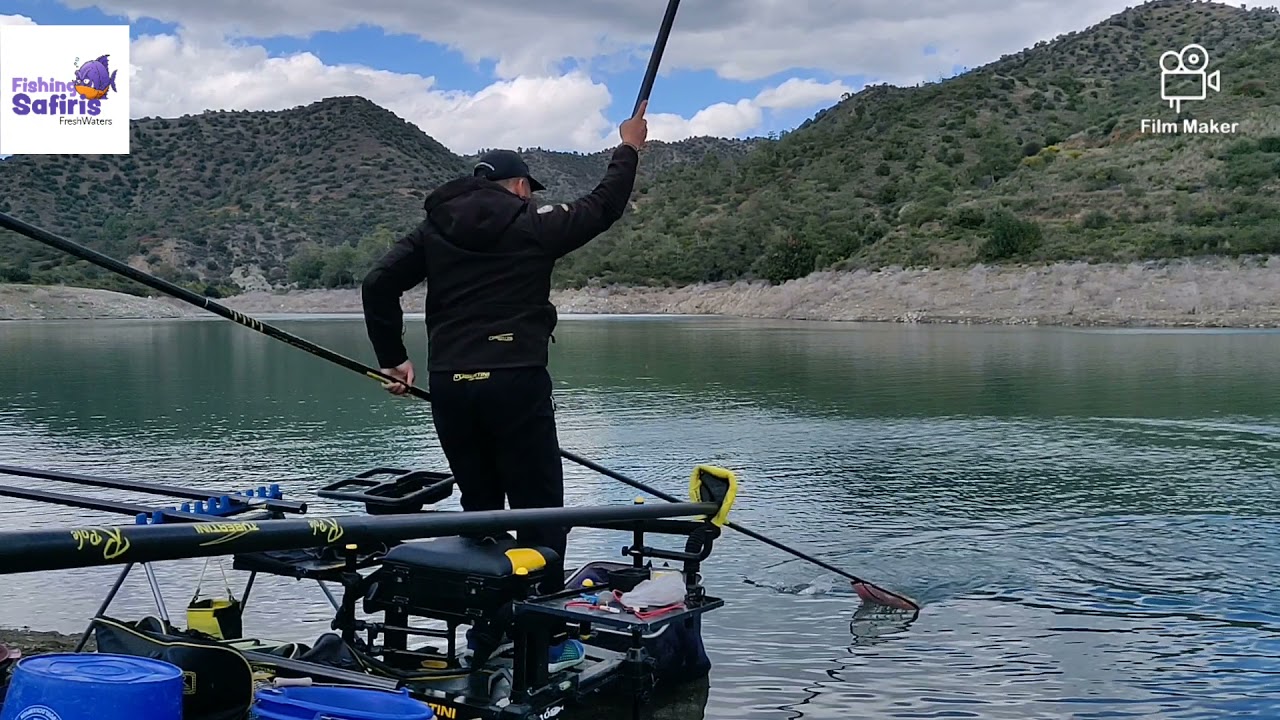 Cyprus Fishing FreshWaters -Roach fishing - pole fishing #roach #pole #fishing #silver #fish