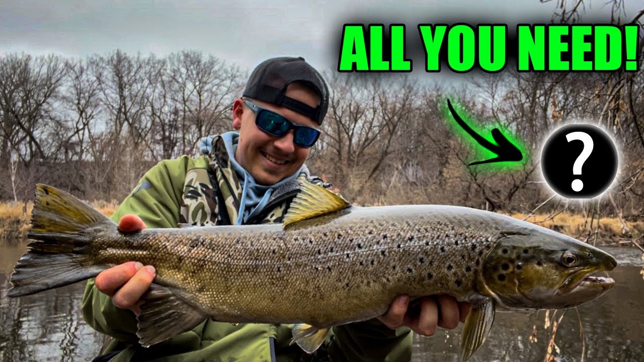The SIMPLEST Way to Catch GIANT TROUT from SHORE! (Milwaukee River)