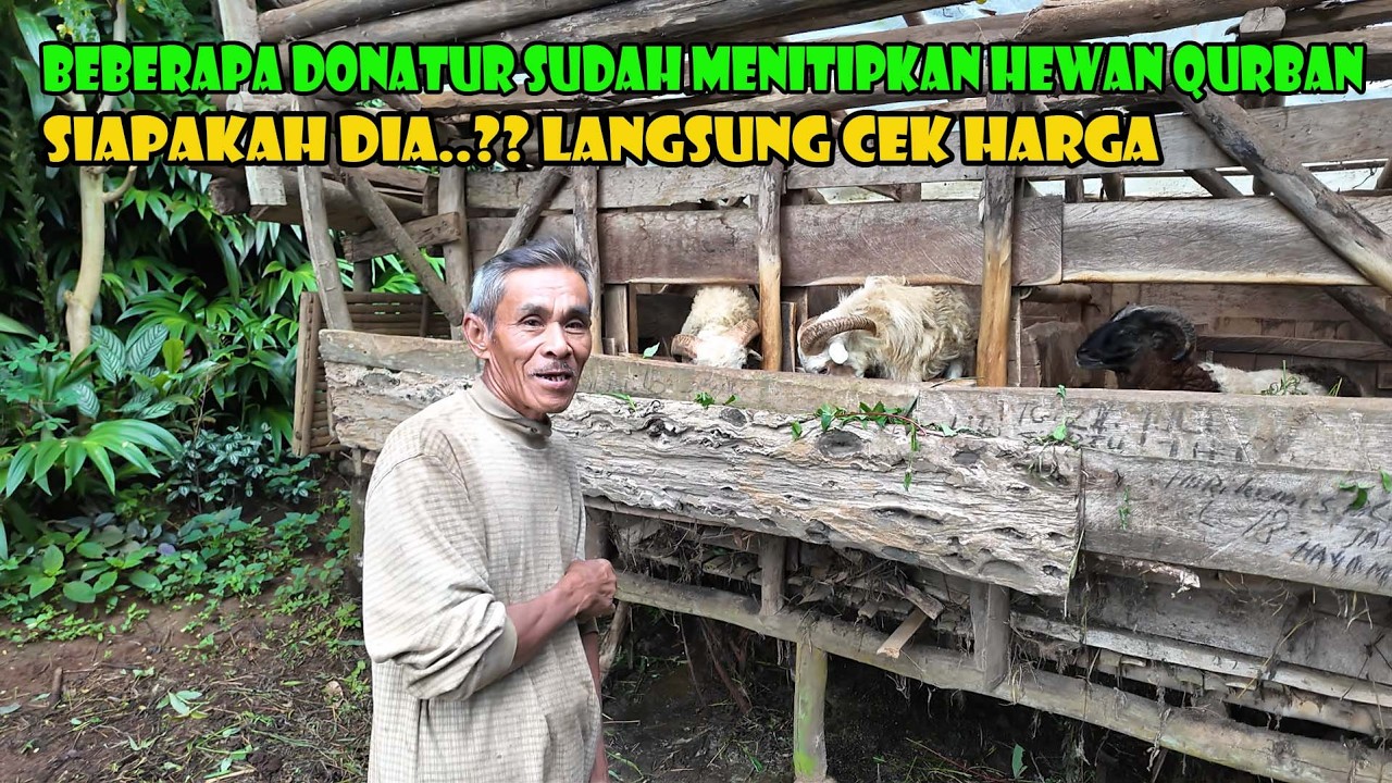 Beberapa Donatur Sudah Mulai Menitipkan Hewan Qurban..Langsung Kita Cek Harganya ..