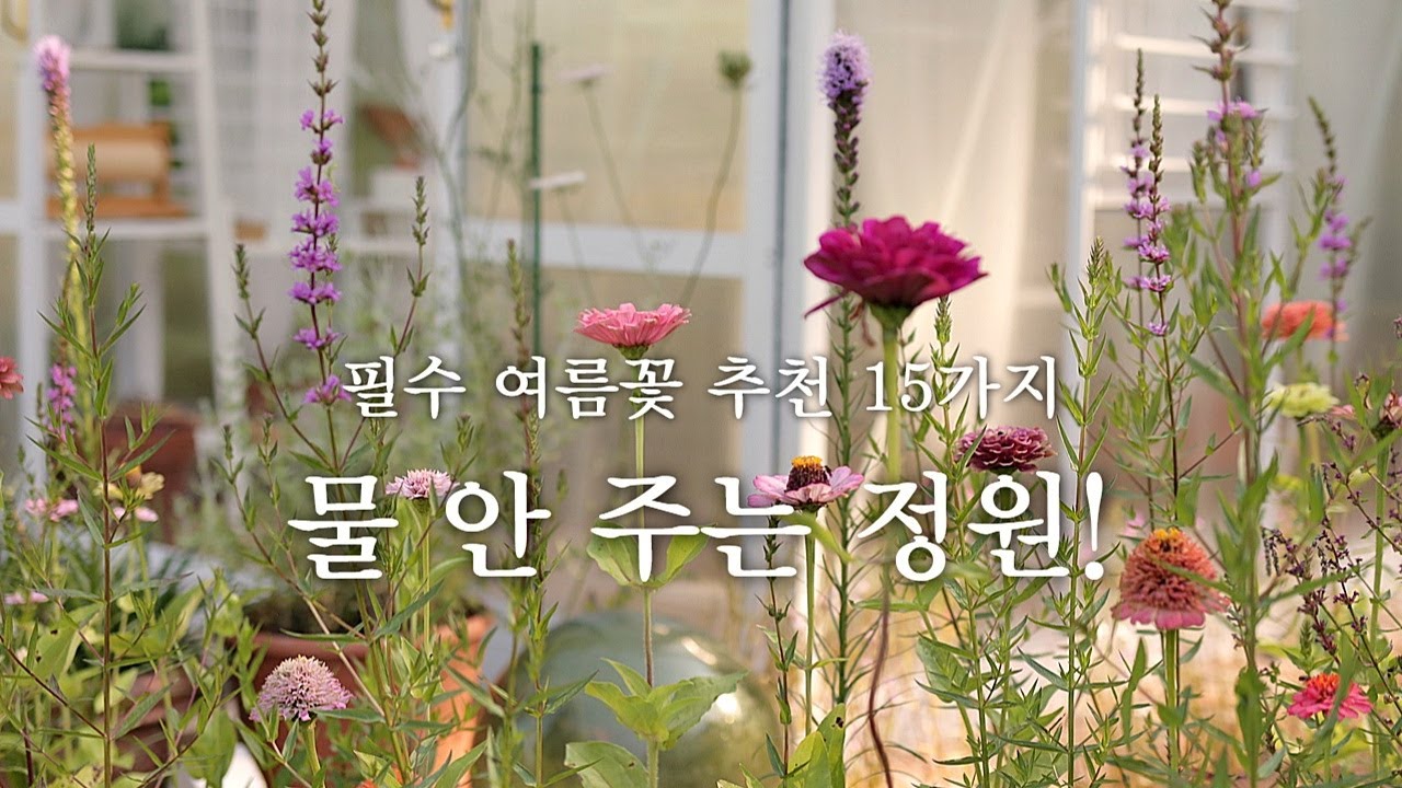 물주기 힘들다고요? 사계절 물 안주는 정원에서 피는 필수 여름꽃 추천 15가지와 가드닝 팁! 천국같은 코티지가든