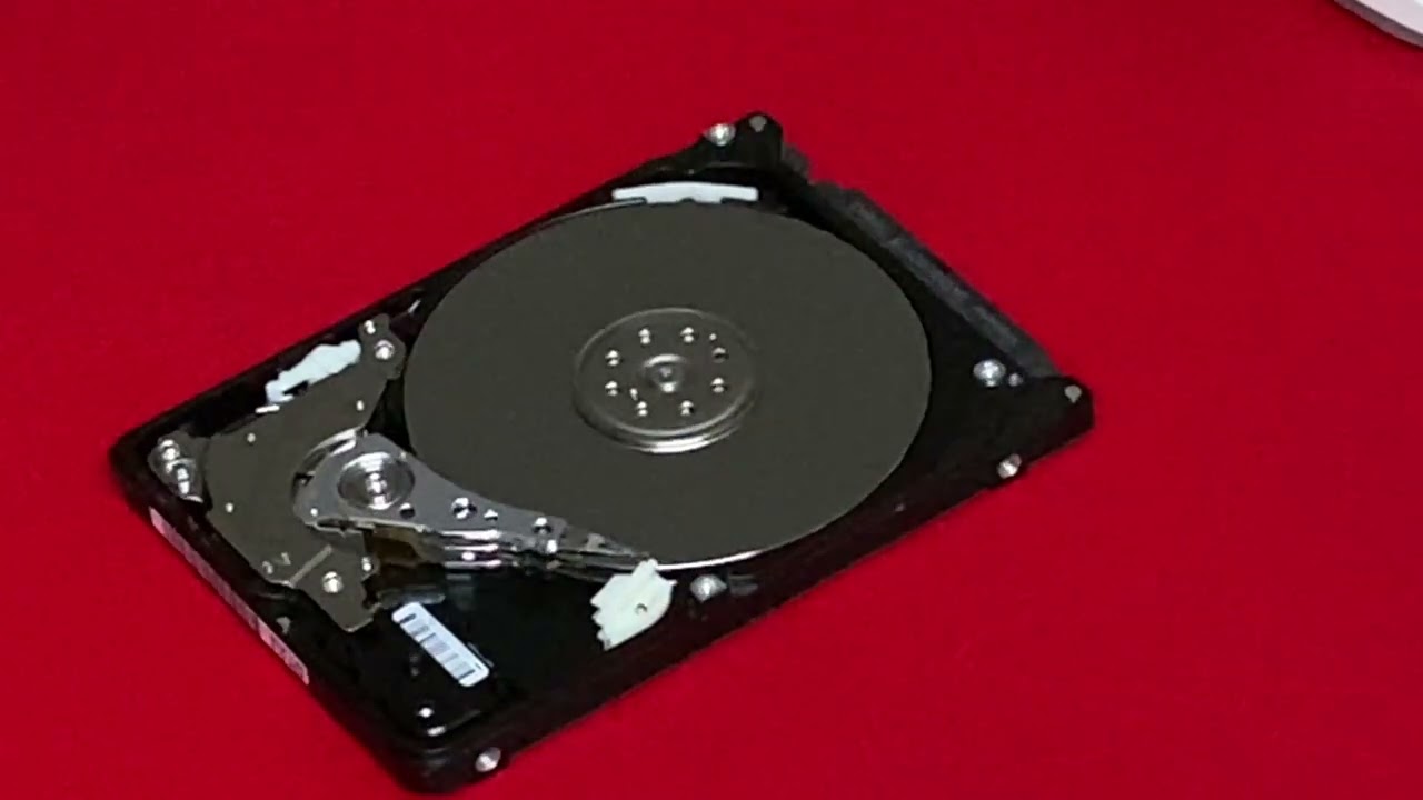 how to recover your data from a disk with beeping sounds