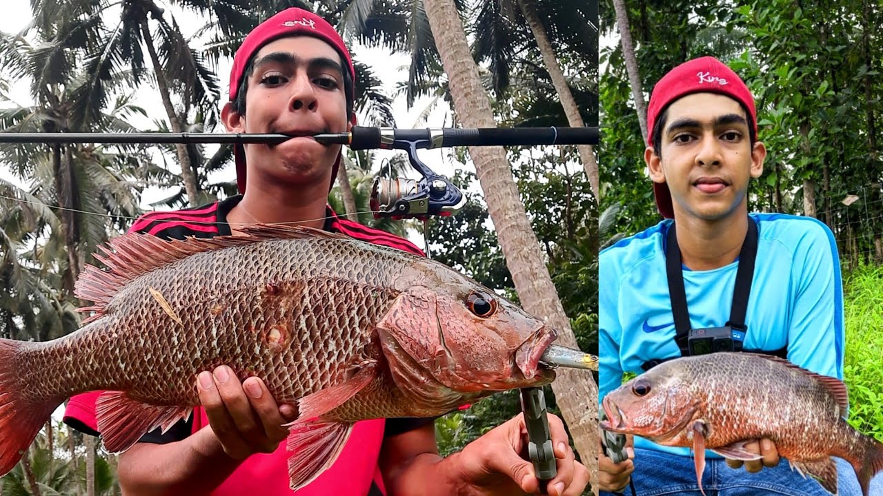 ചെമ്പല്ലി പിടിക്കാൻ ഇതിലും നല്ല lure സ്വപ്നങ്ങളിൽ മാത്രം | Saseiya Hirame lure Fishing 🔥
