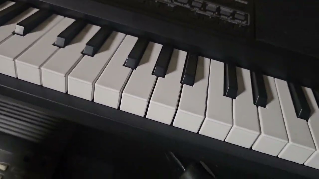 KORG Microarranger  Ventajas y desventajas