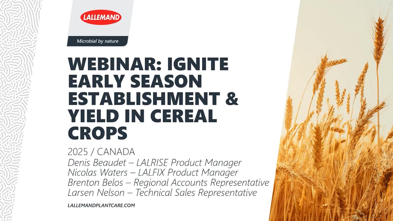 Ignite Early Season Establishment & Yield in Cereal Crops