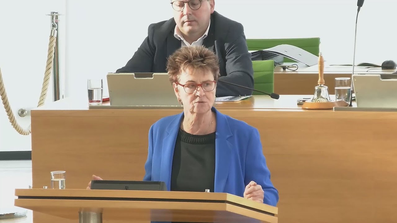 Landtag debattiert Wehrpflicht