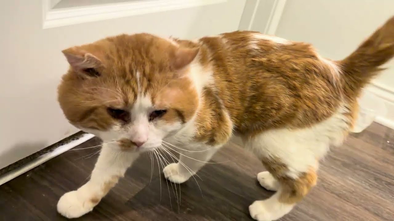 Miss me