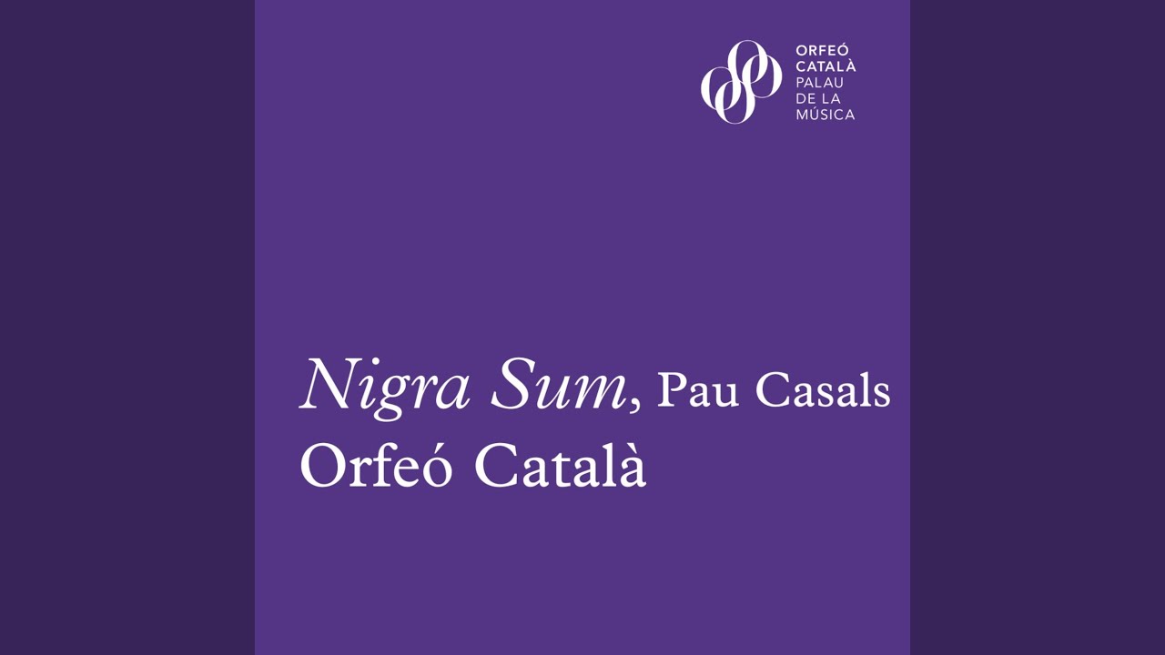 Nigra Sum