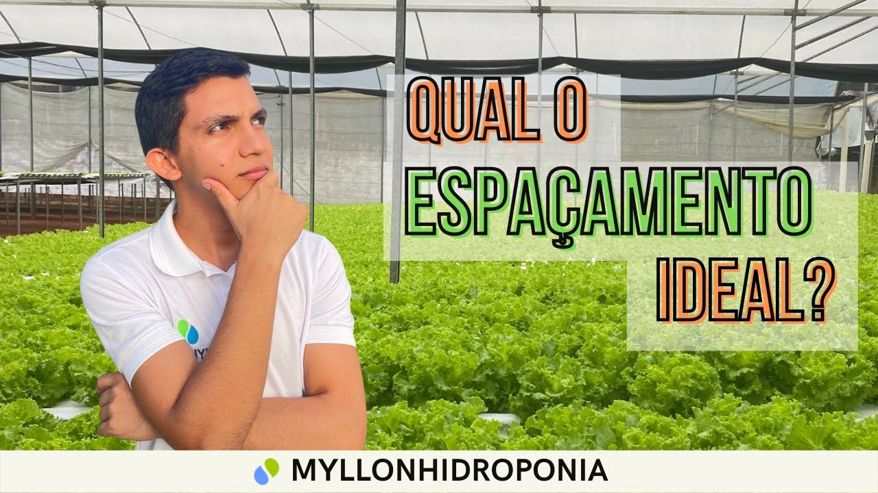 ESPAÇAMENTO ENTRE OS TUBOS NA HIDROPONIA.