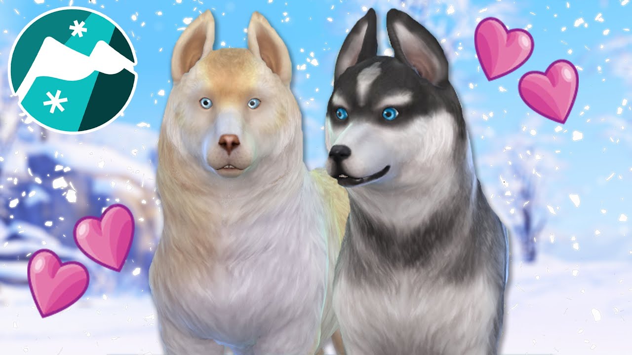 Are We Expecting Sled Dog PUPPIES?! 🐕🗻 Sims 4: Snowy Sled Dogs • #15