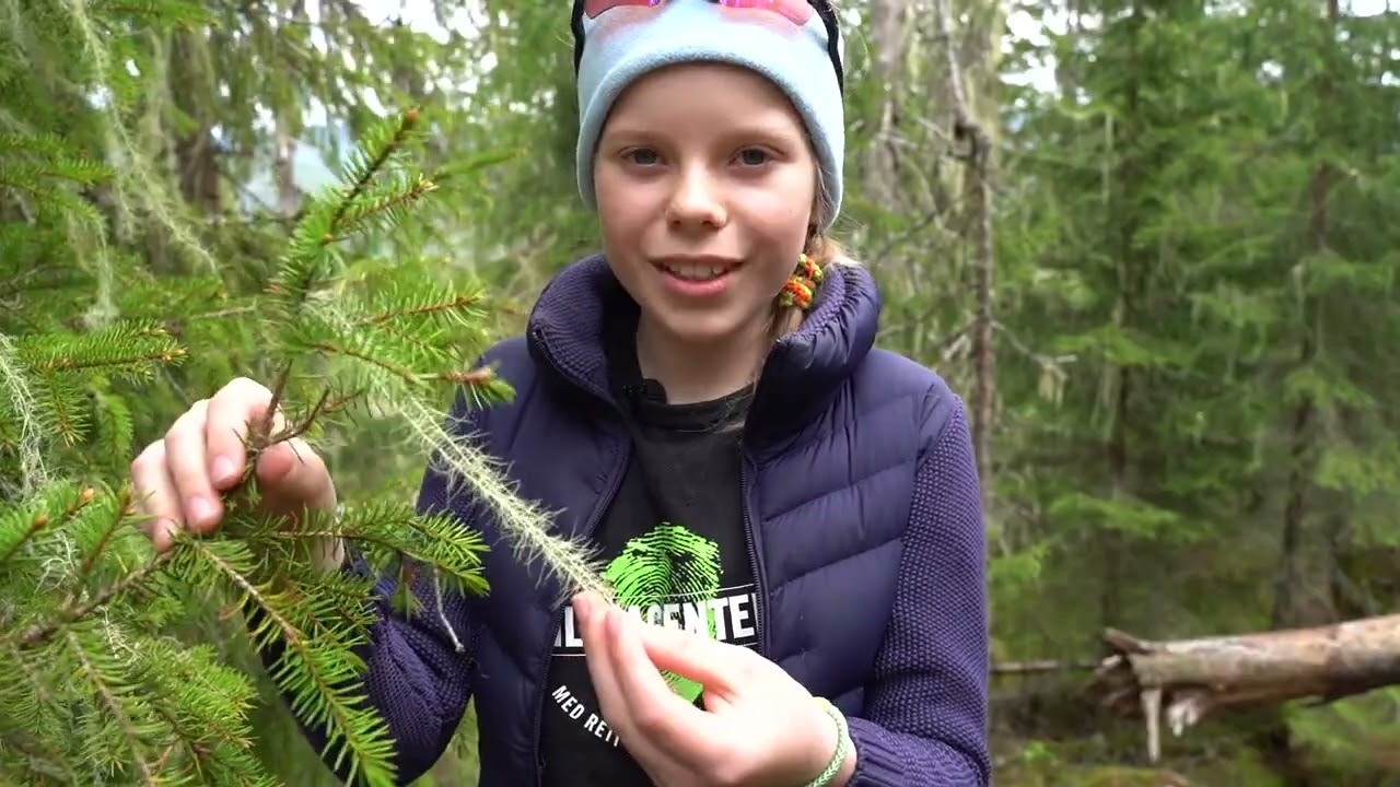Huldrefortellinger: Thilda finner huldra sitt hår!