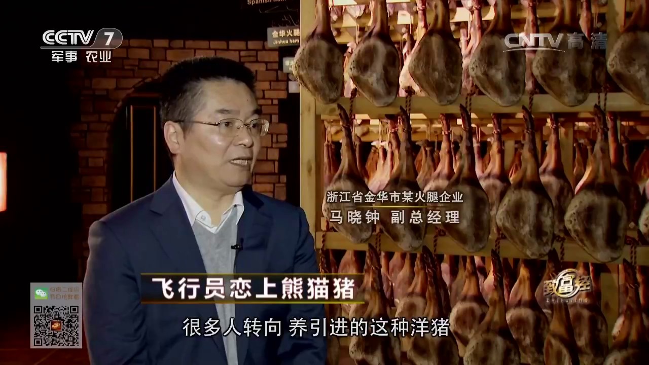 20161214 致富经  飞行员恋上熊猫猪