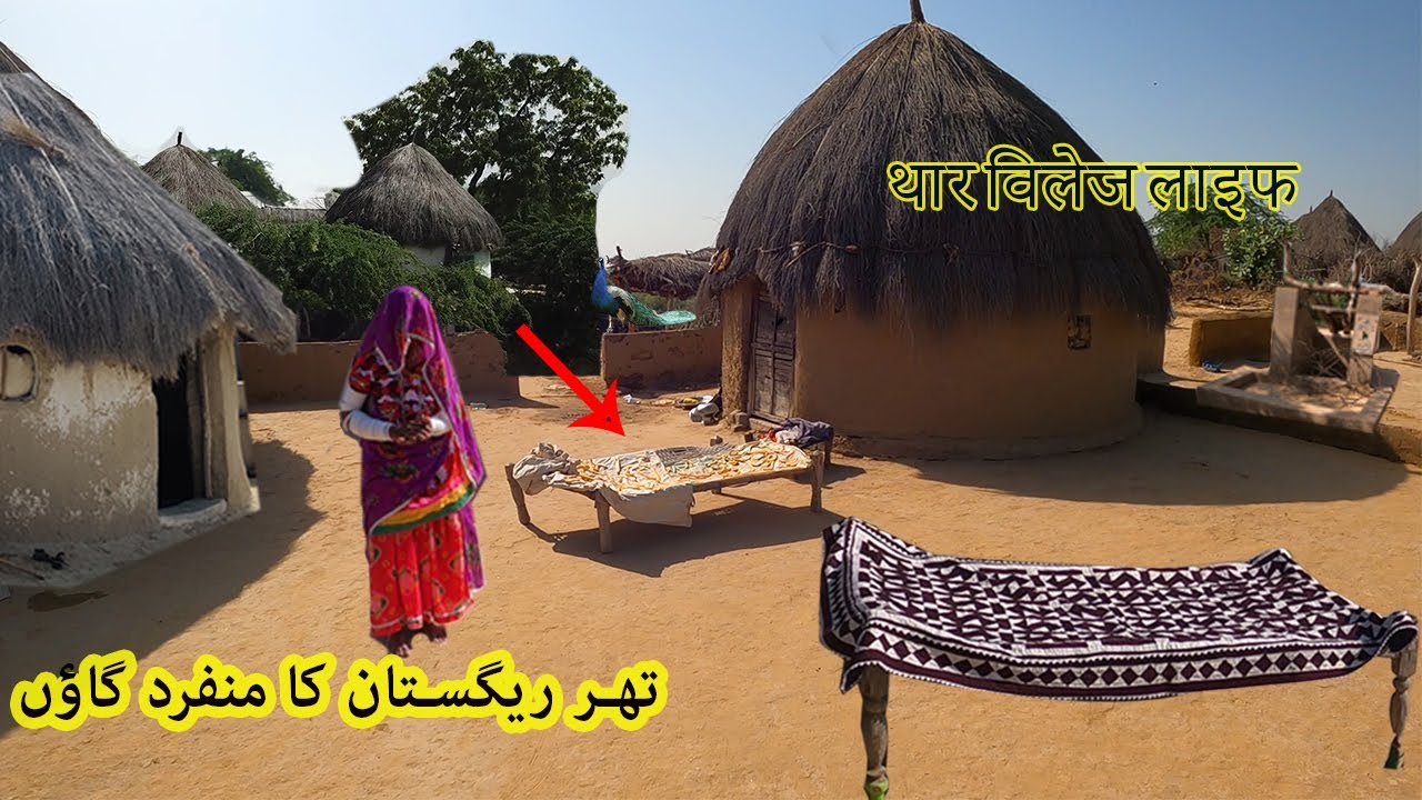 Tribal Lifestyle of Thar Desert Sindh || Village Life of Pakistan || Living in Huts || Part-1