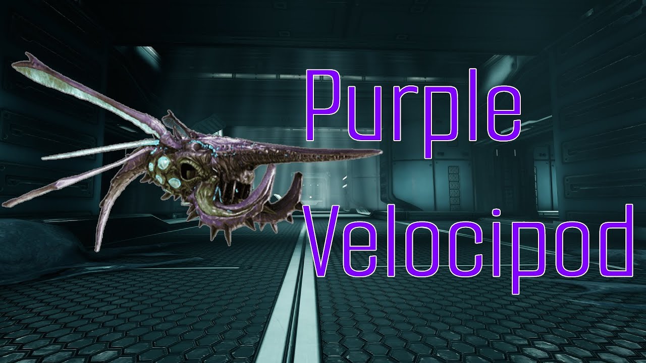 Warframe - Простой гид по фиолетовой метке Velocipod 2026