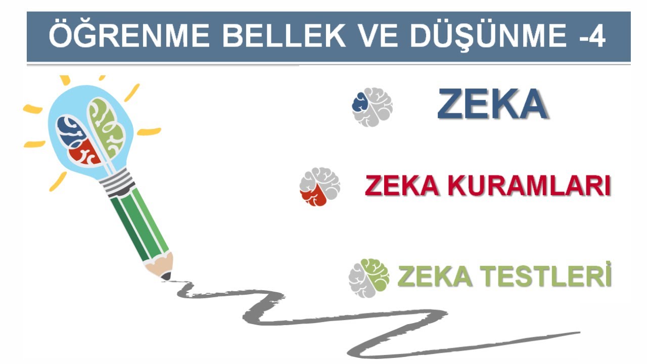 Zeka ve Zeka Kuramları (AYT-Felsefe Grubu) #18