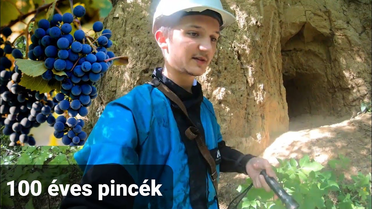 Nagymarosi borospincék /elhagyott pincék/