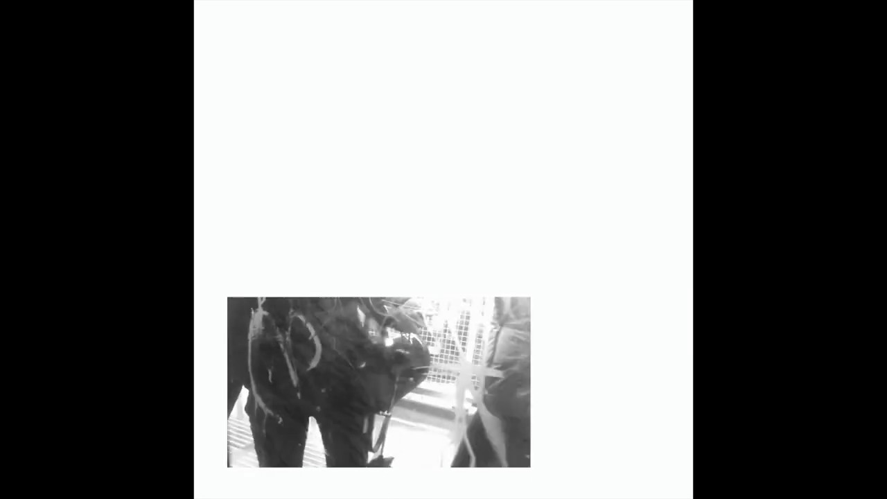 Lewsberg – Through the Garden (single edit)