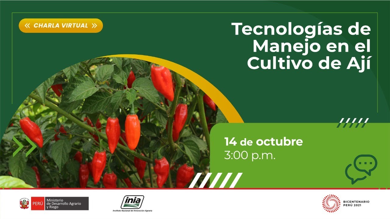 Tecnologías de Manejo en el Cultivo de Ají