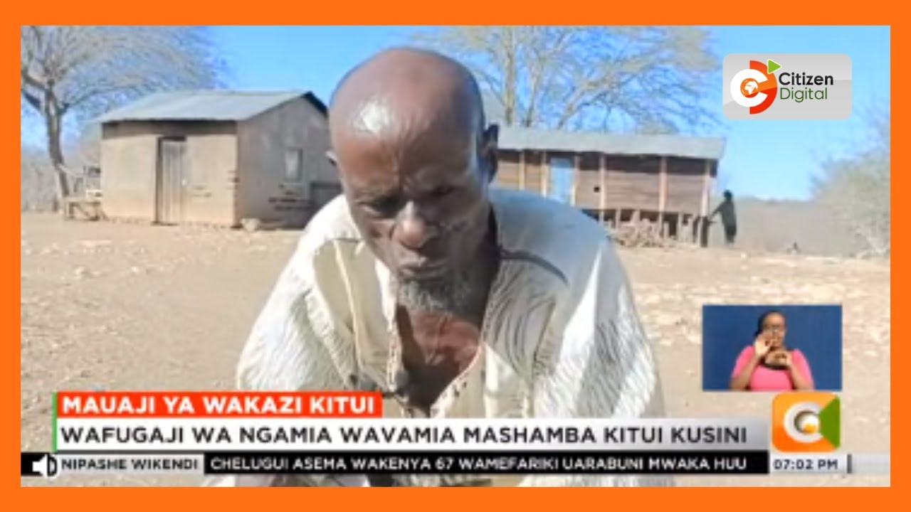 Mauaji ya wakazi Kitui | Wafugaji wa ngamia wavamia mashamba Kitui Kusini