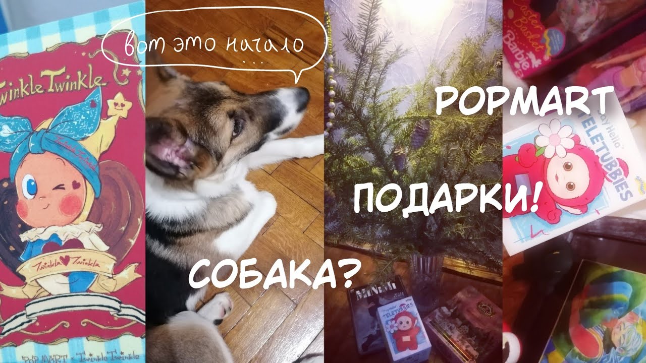 Подарки, popmart, нашли щенка... 