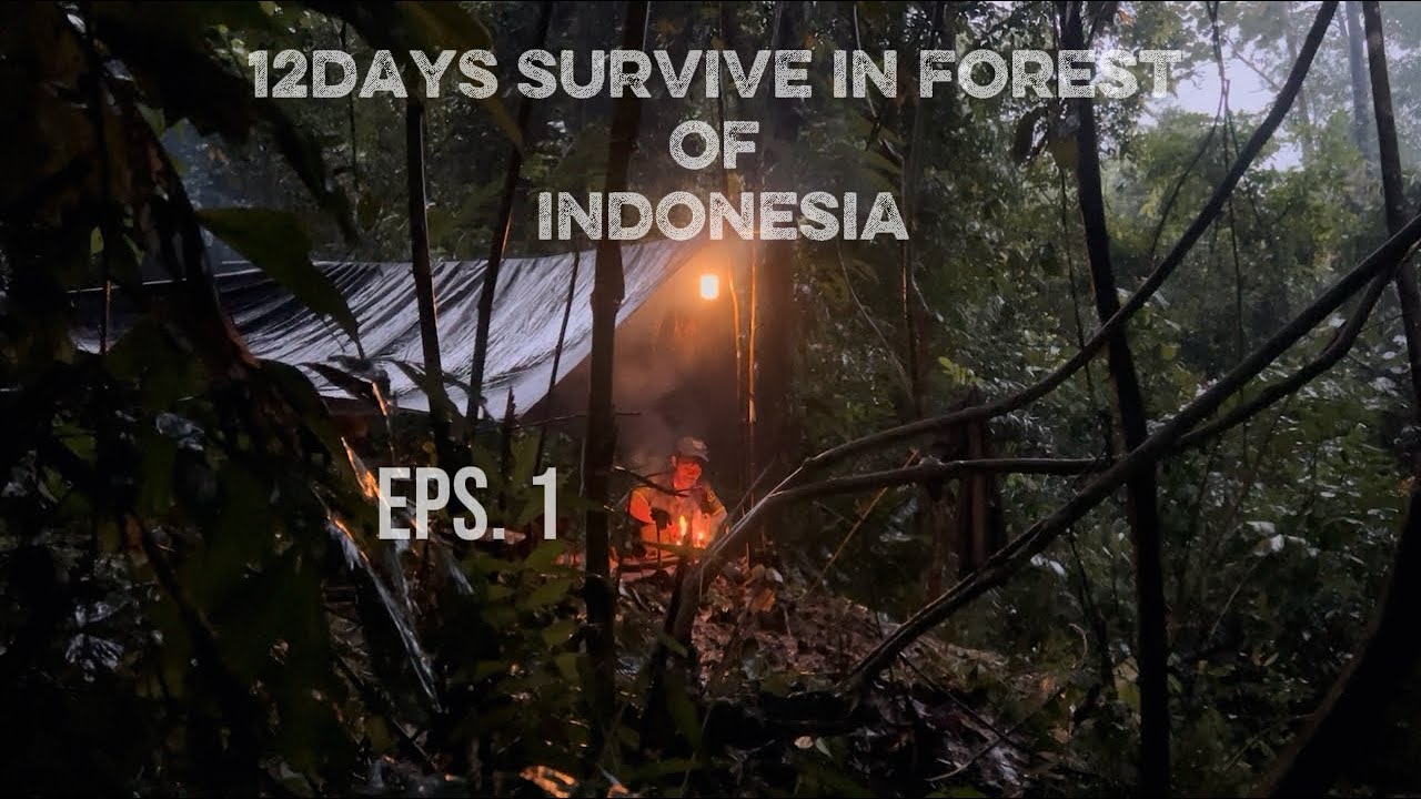 20hari bertahan hidup di dalam hutan dan di guyur hujan extream selama 2hari  EPS 1