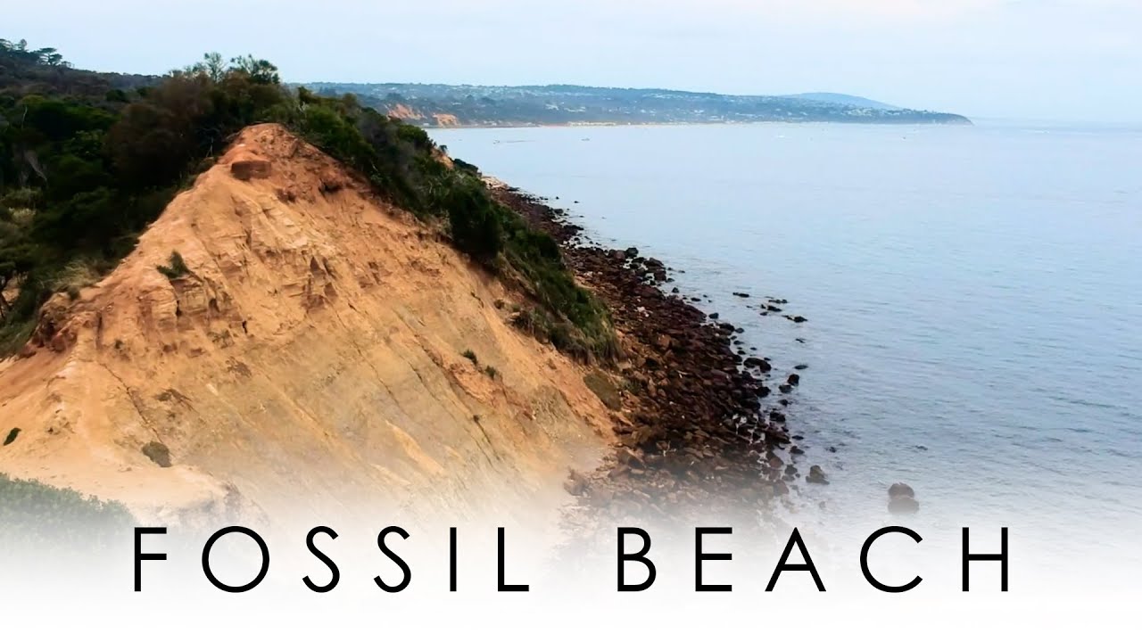 Fossil Beach, Victoria, Australia | Coastal Destination Video