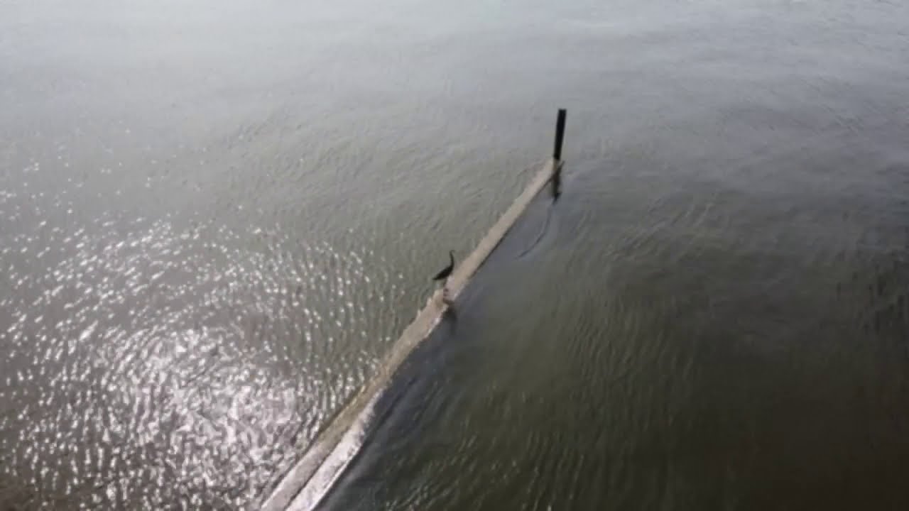 DJI Mini 2 Views. First Flight with the Mini 2