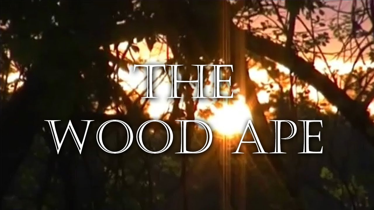 THE WOOD APE - 2018 Bigfoot Documentary Trailer
