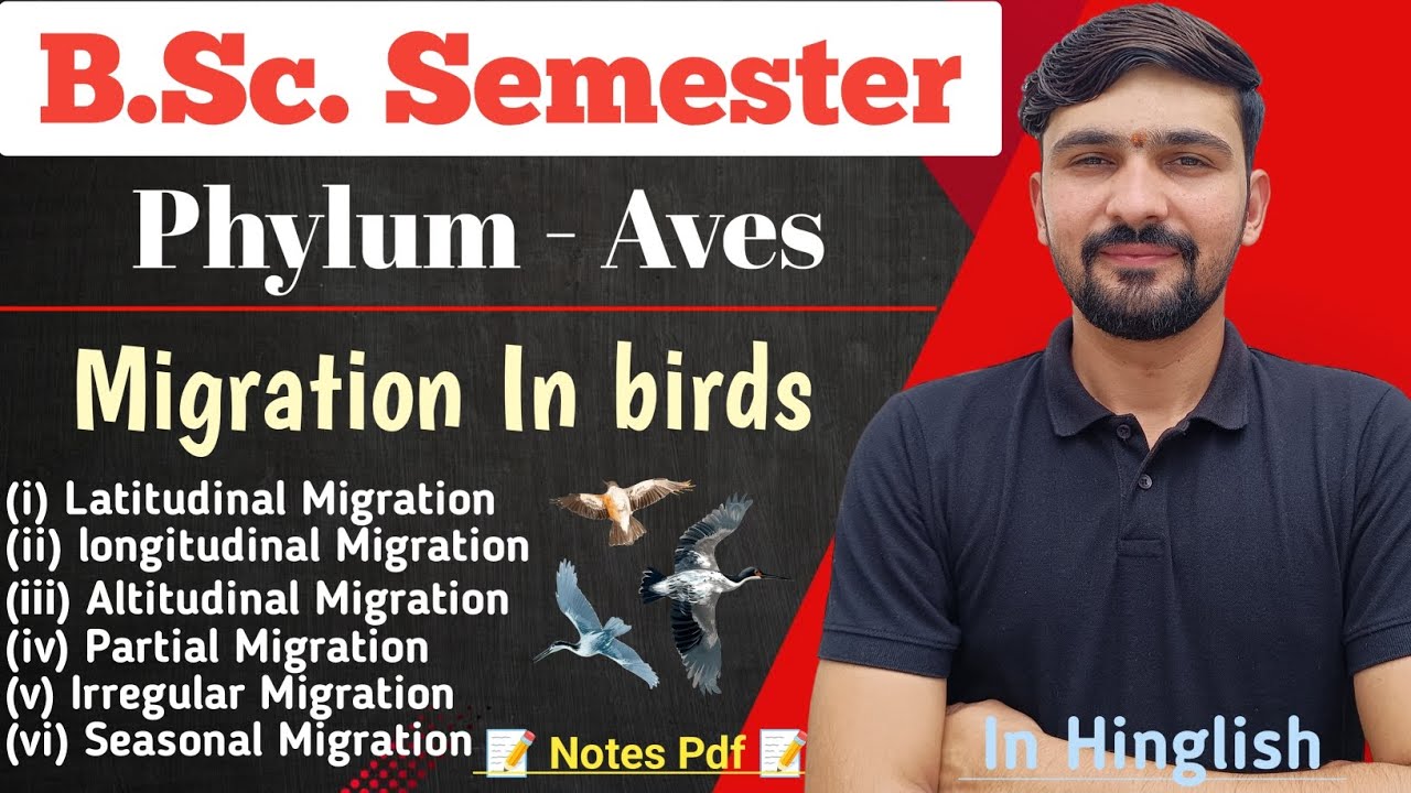 Migration In Birds Explained With Diagram | Bsc Semester || By Dadhich Sir