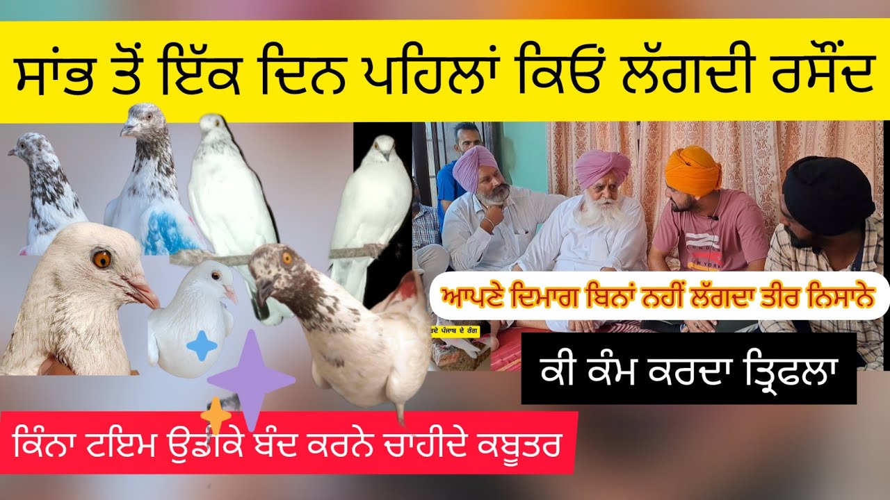ik Shonk Kabootarbaazi Da full Interview ਮਿੰਦਰੀ ਬਾਬਾ ਰਾਮਪੁਰਾ #ਸੁਪਰ ਸਟਾਰ ਕਬੂਤਰਬਾਜ #interview #kabotar