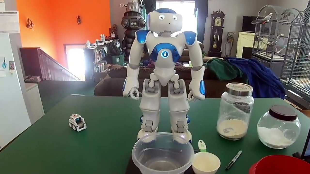 Astro Nao and Cozmo make pancakes!