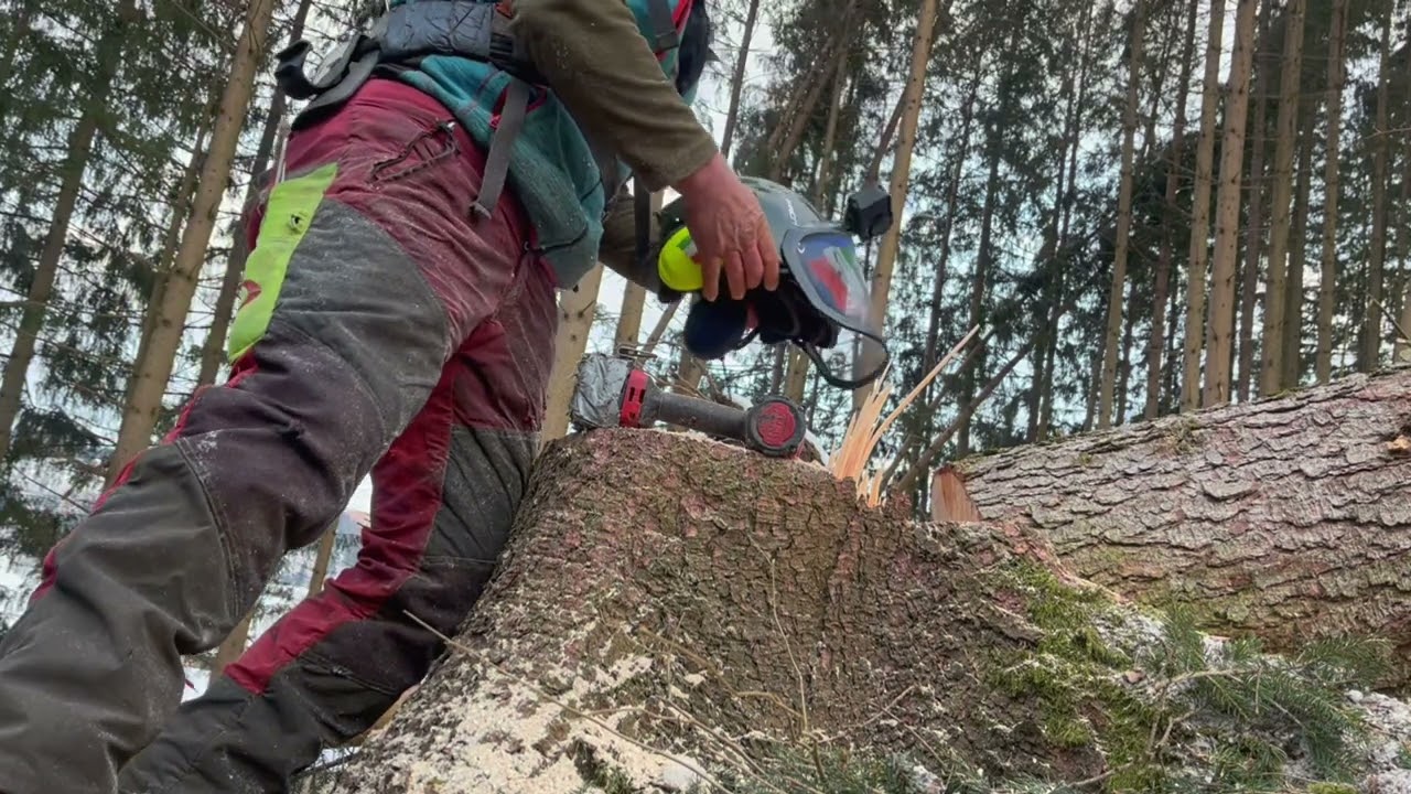 Forstreich Fällkeil TR 24 HD im Einsatz