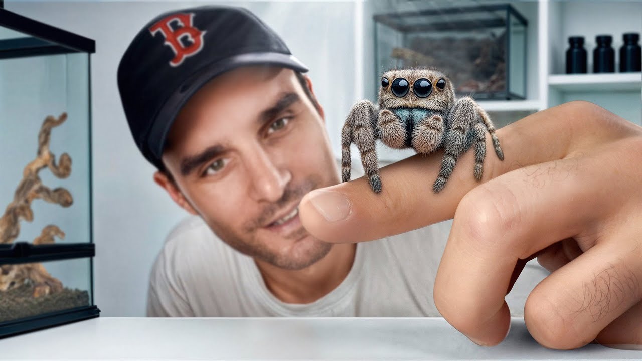 J'élève une étrange araignée ! (Elle est incroyable)