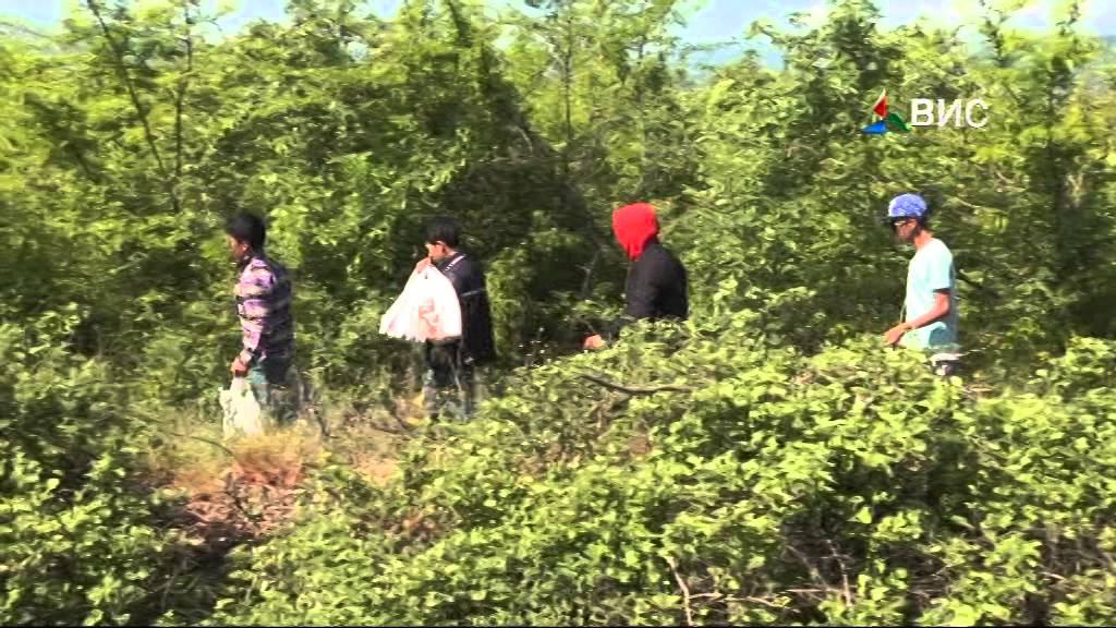 Prilog   Migrantite na pazar vo Gevgelija 06 05 15