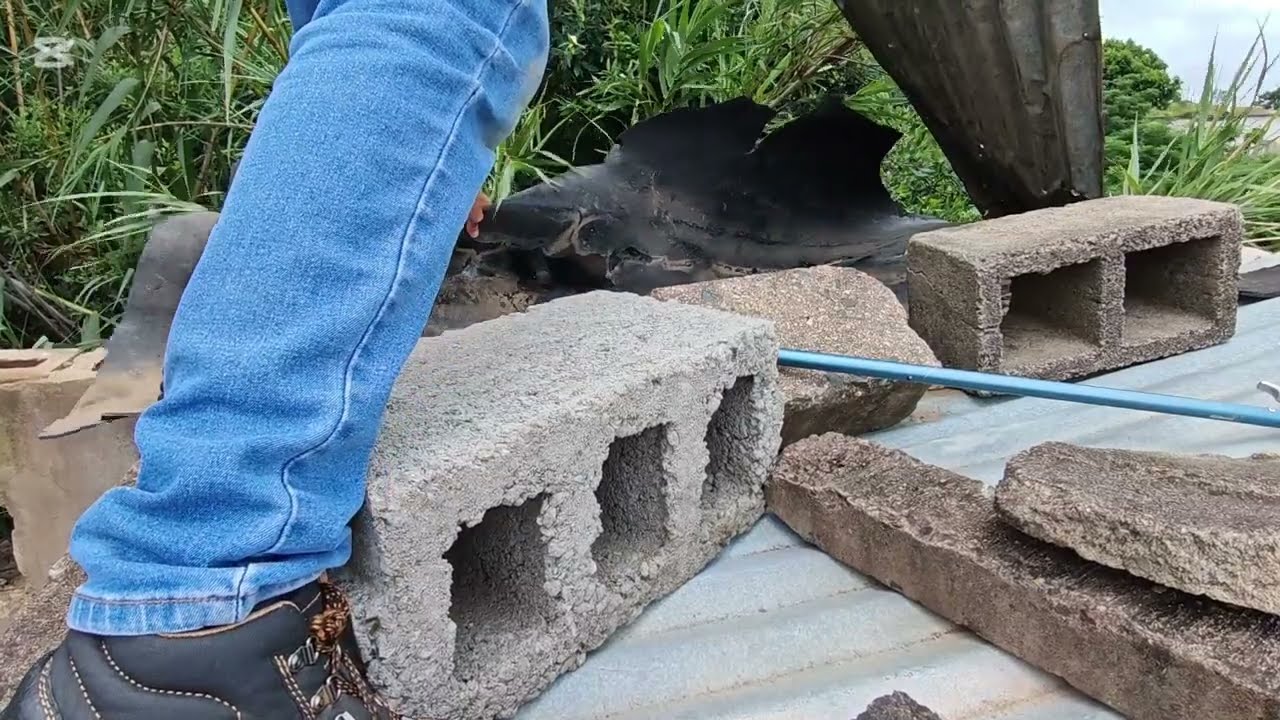 BLACK MAMBA CAPTURE - As dangerous as it gets!!