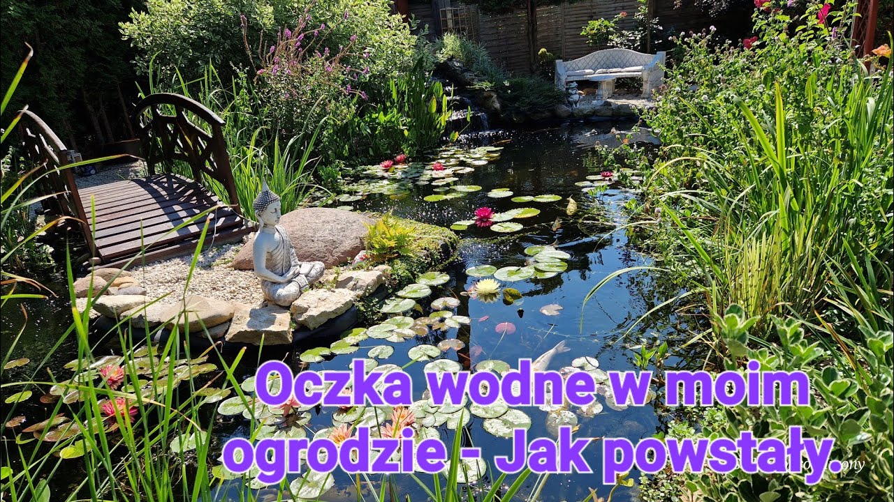 Oczka wodne w moim ogrodzie - Jak powstały. #oczkowodne #karpiekoi #koipond #butterfly #garden